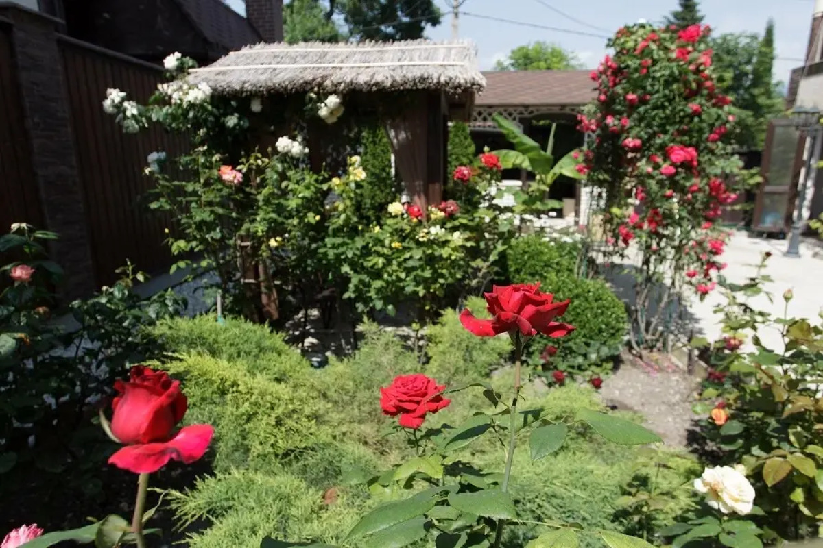 Гостевой дом Шельф