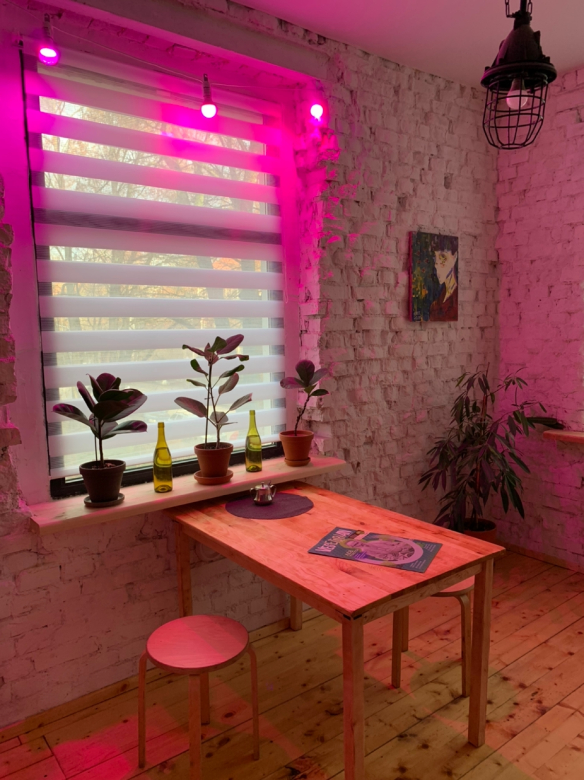 Апартаменты Оранжерея