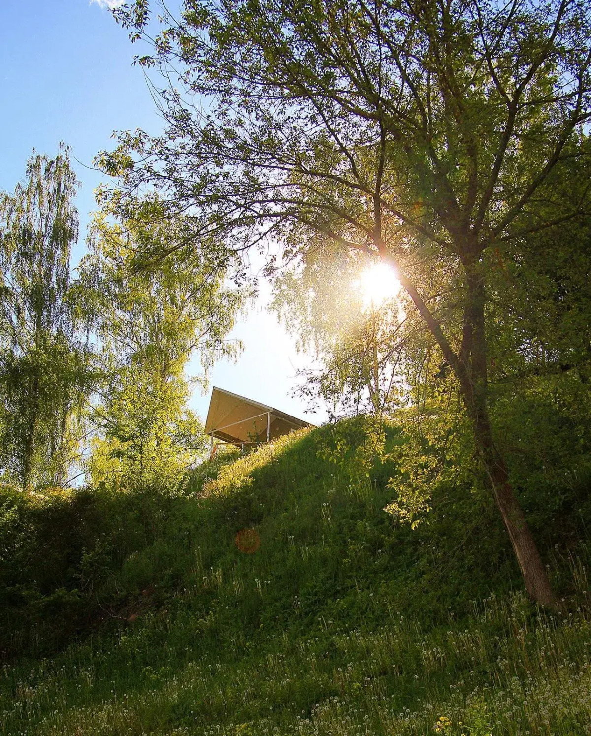 База отдыха Солнечная на Оке