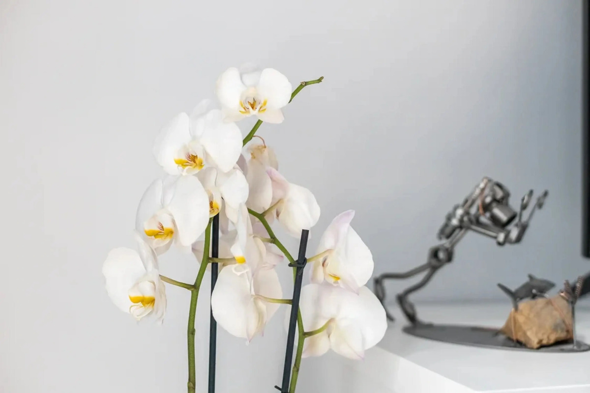 Апартаменты Play на Тульской