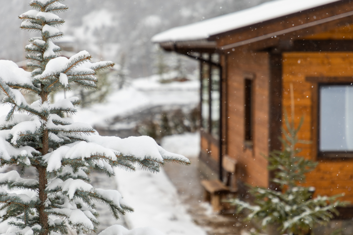 Курортный отель Le Chalet by Amirsoy