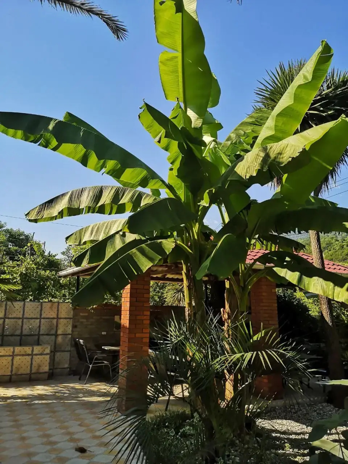 Гостевой дом Форелька