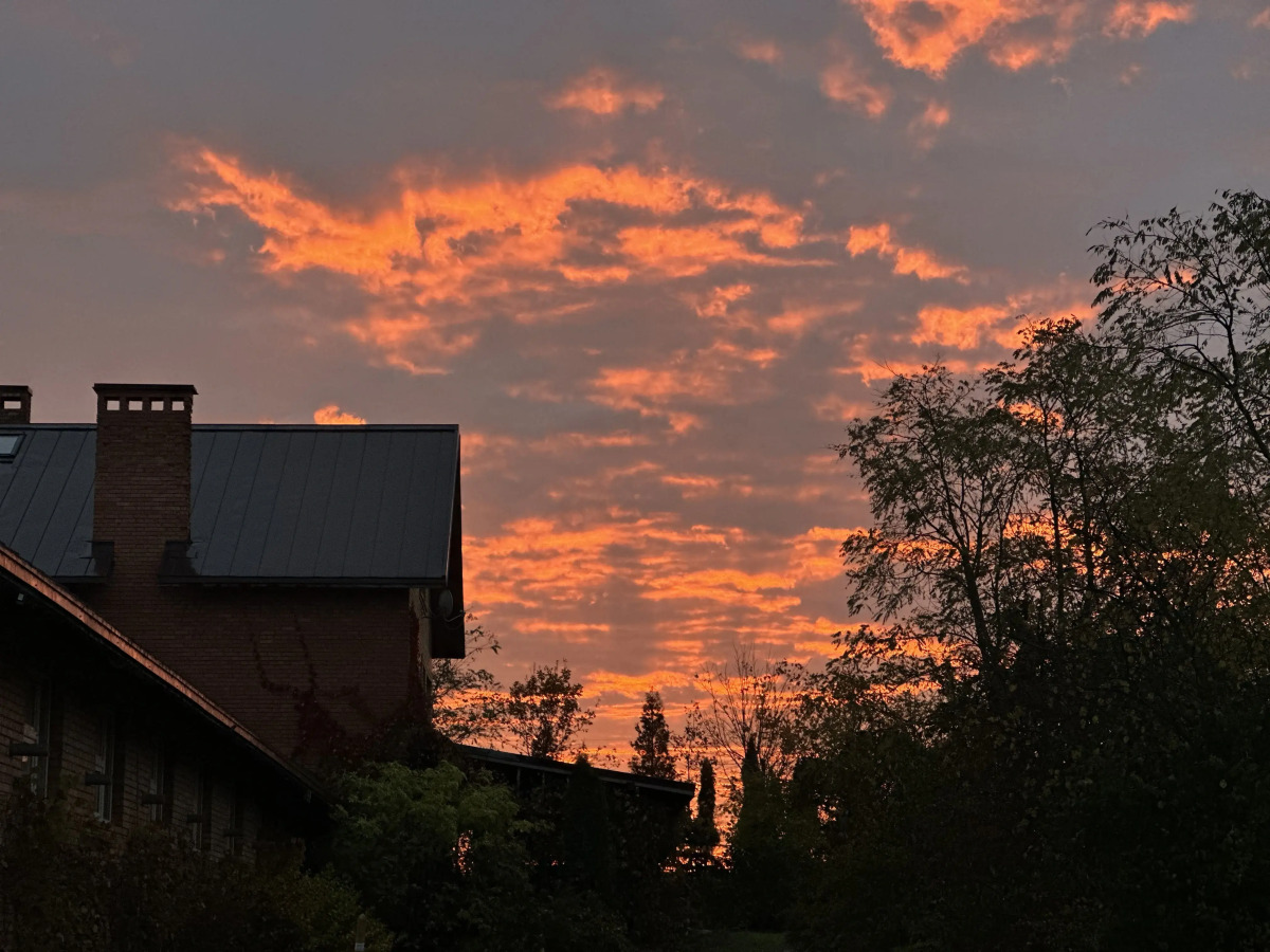 Гостевой дом Первая лошадь