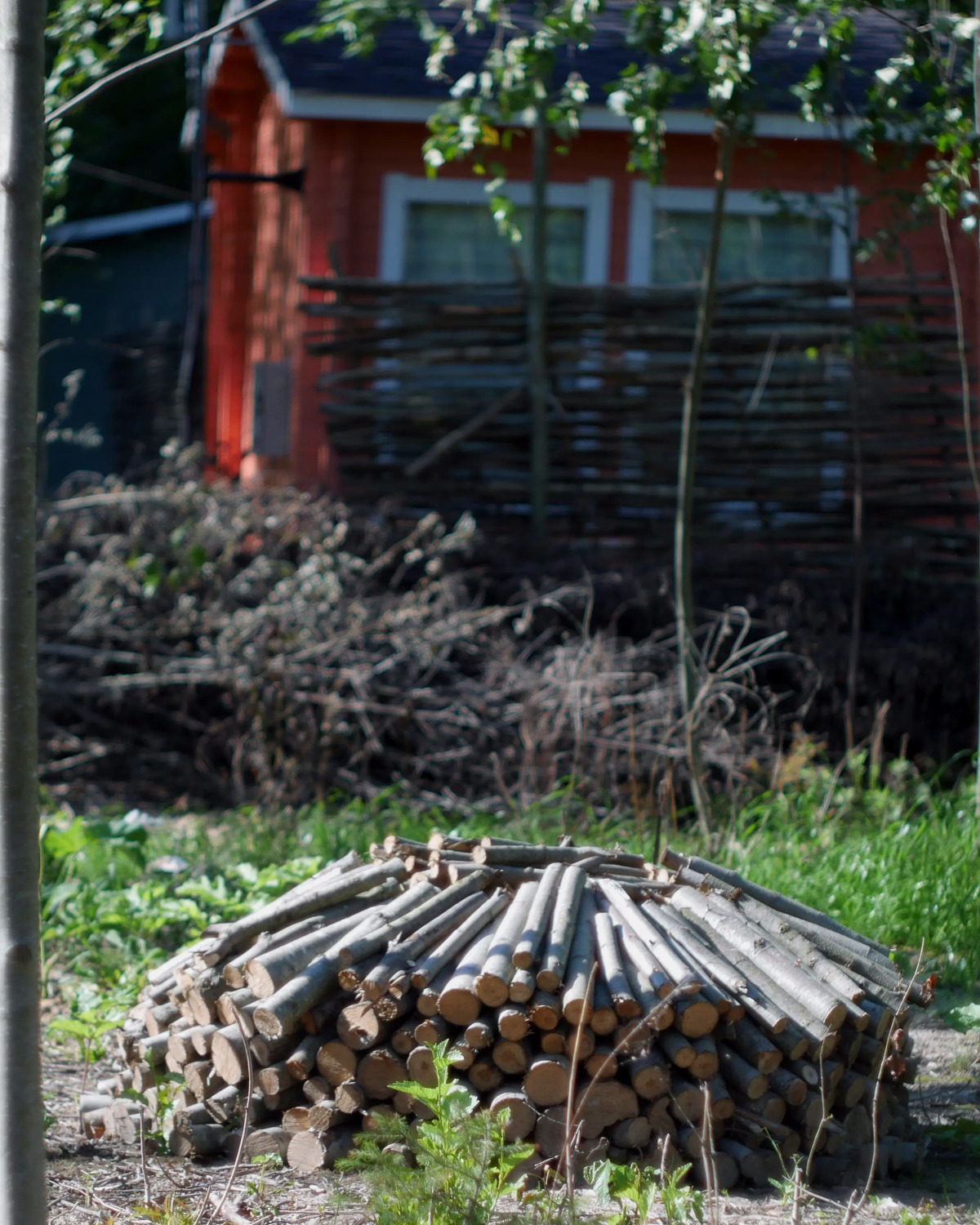 Гостевой дом "Толстовские домики"