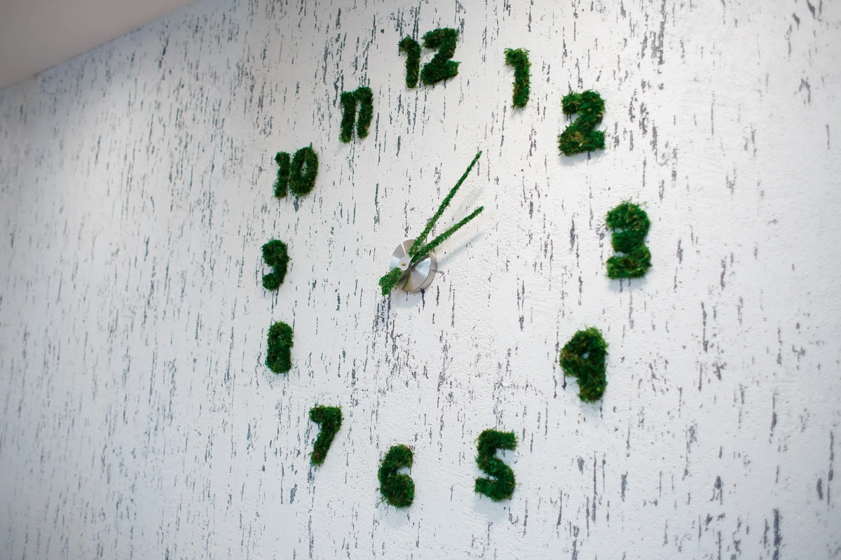 База отдыха Широкая