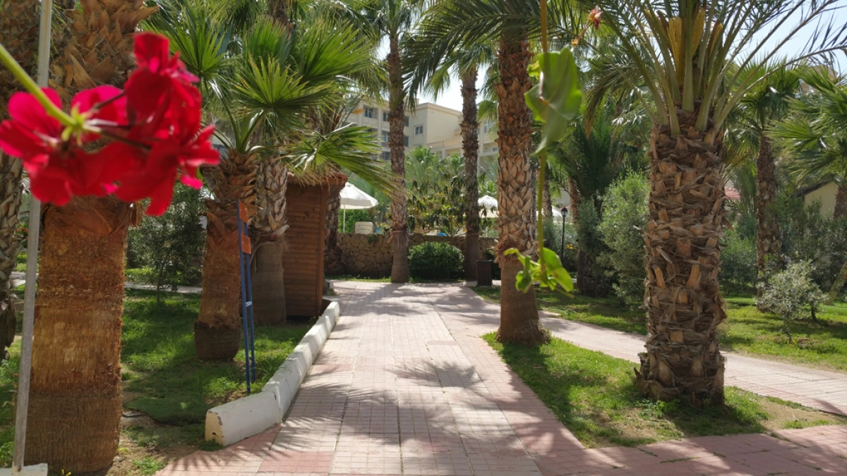 Отель Oscar Resort