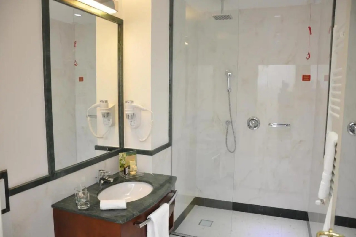 Отель International Iasi