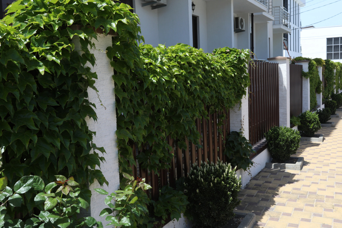 Гостевой Дом Династия (корпус 2)