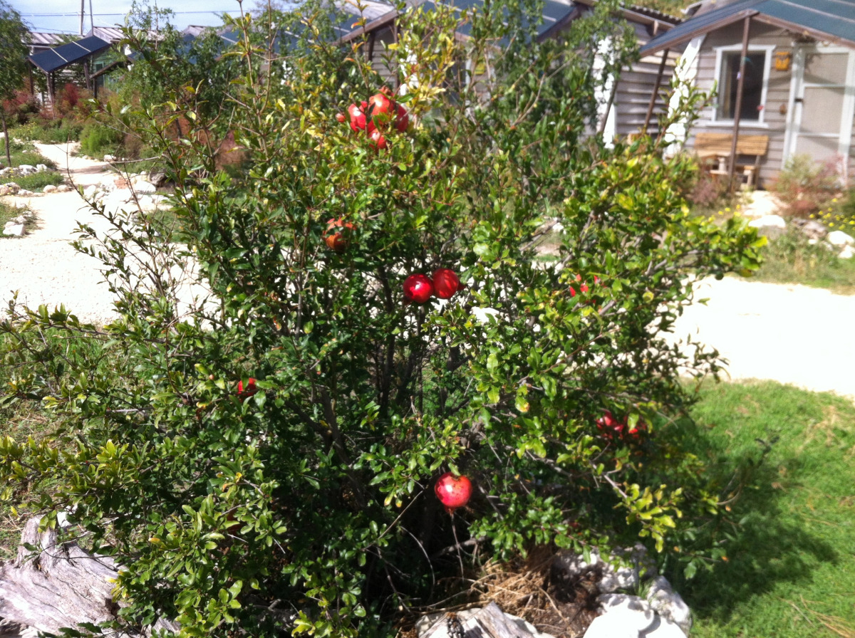 База Отдыха Эко Курорт Морское