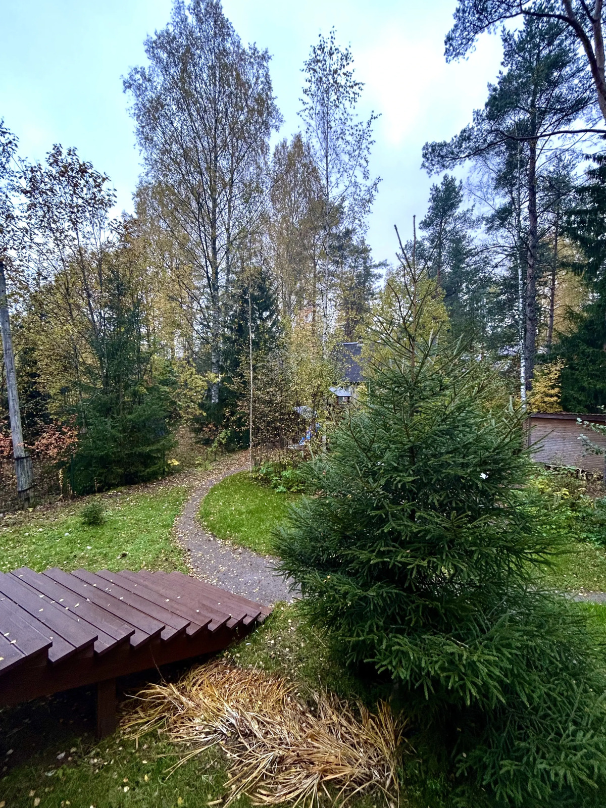 Частный дом у озера с террасой Сосновый дом