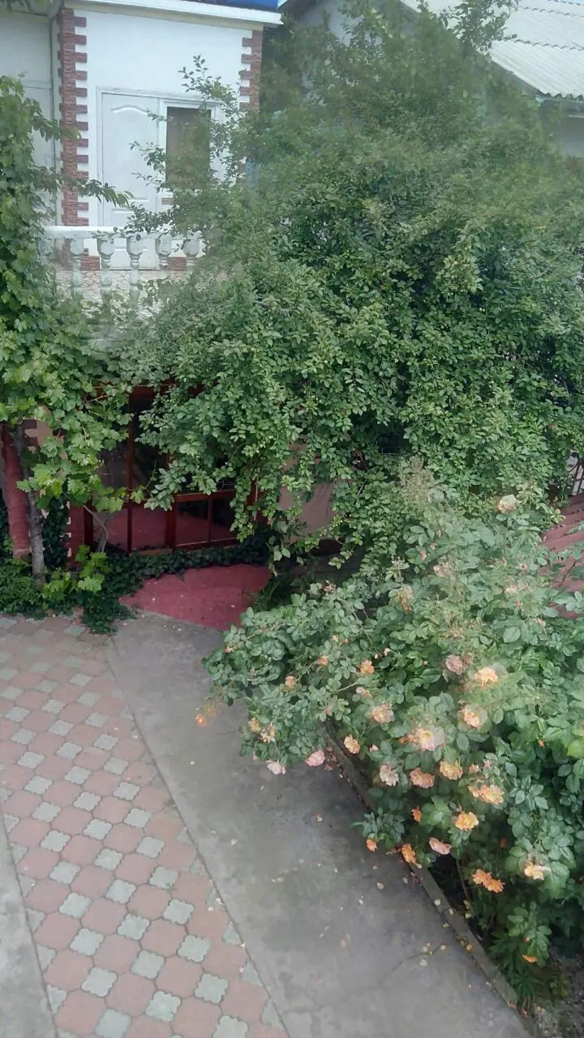 Гостевой Дом Viktoria