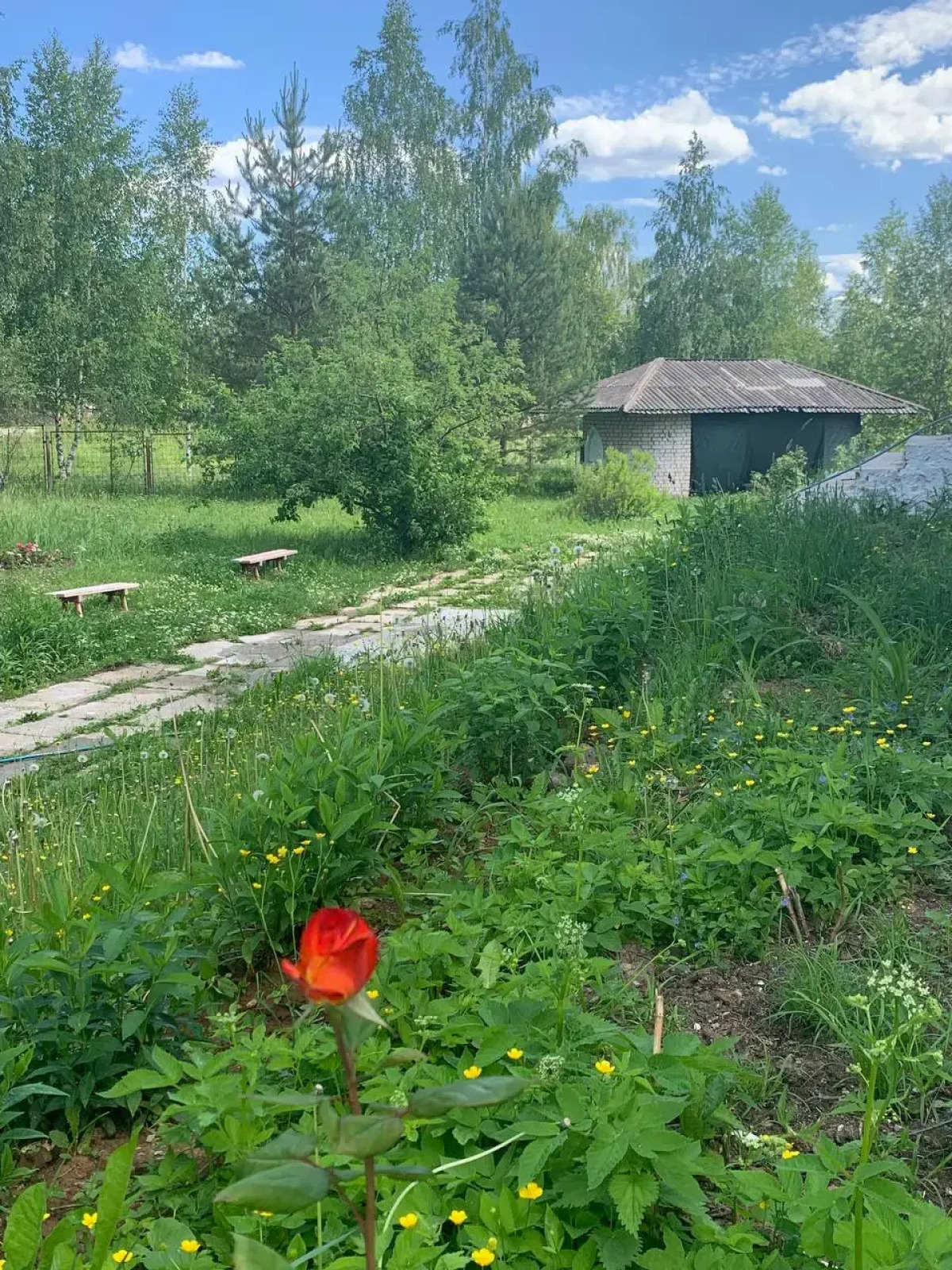 MAXROOMS у Плеса