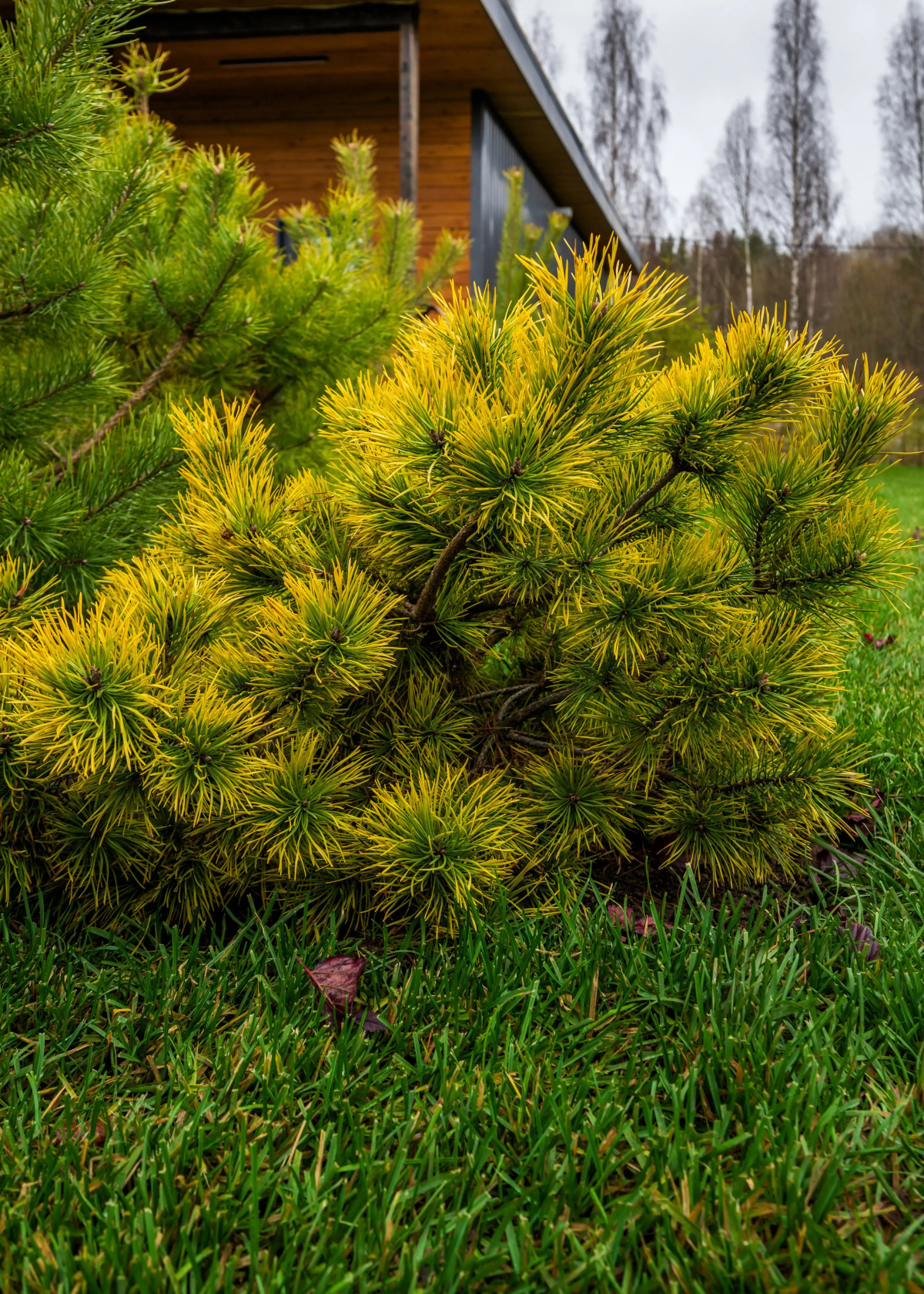 RentalSPb Redlake Красное Озеро