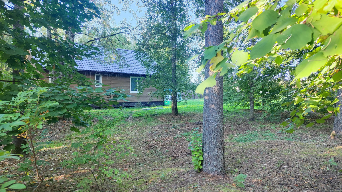 Коттедж с баней в сосновом бору у озера, рядом с турбазой Чайка