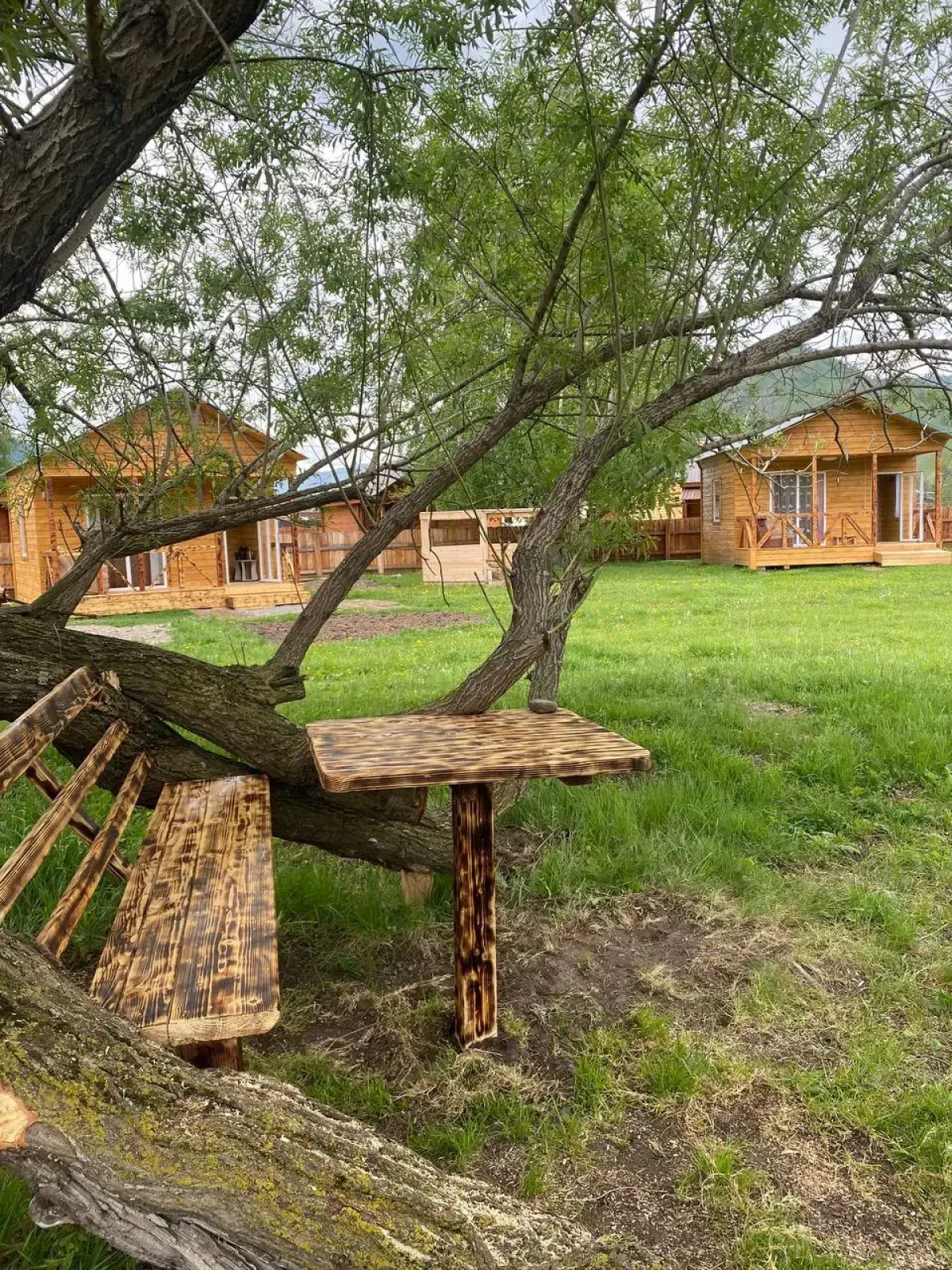 Гостевой дом Алтайские дачи