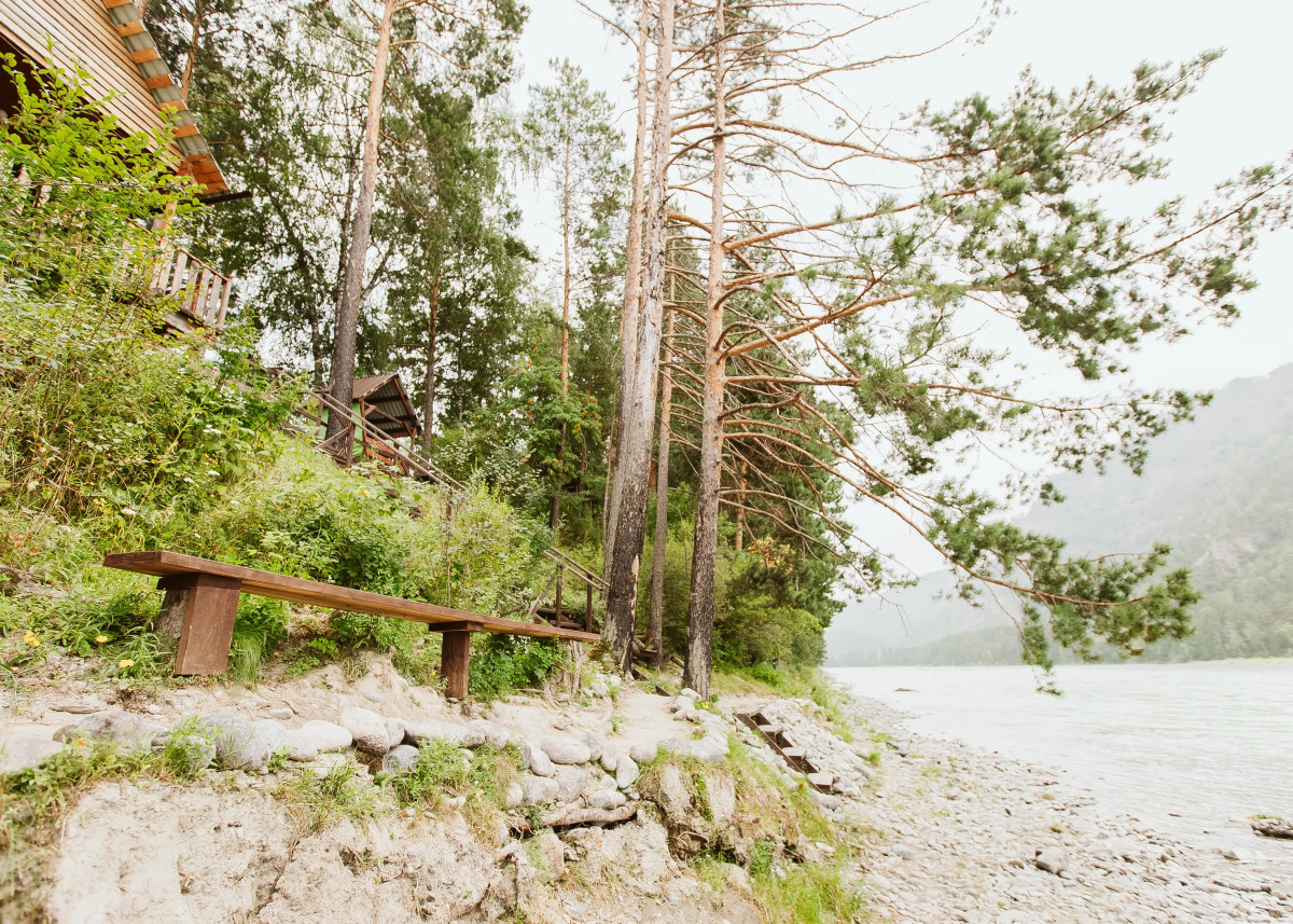 Гостевой дом АЛТАЙ БЕРЕГ ИП Рожнова Л.В.