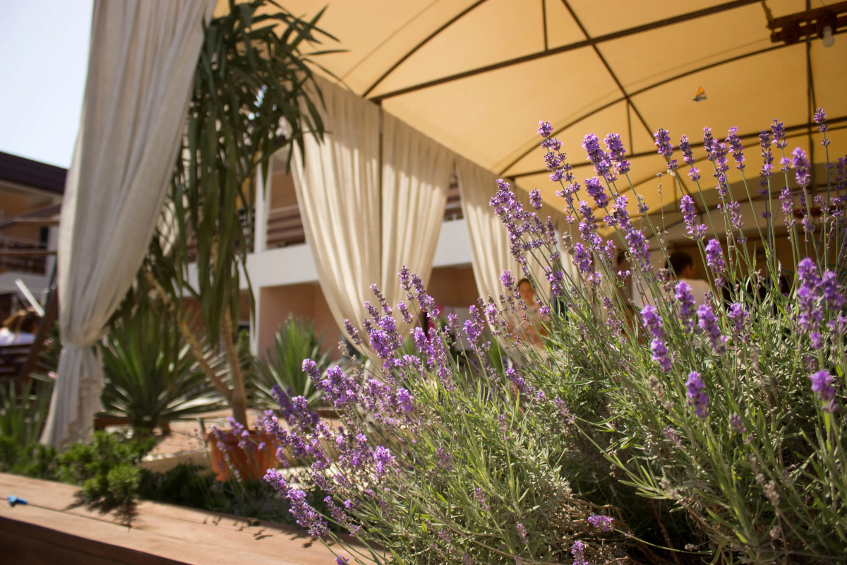 Отель Эвель