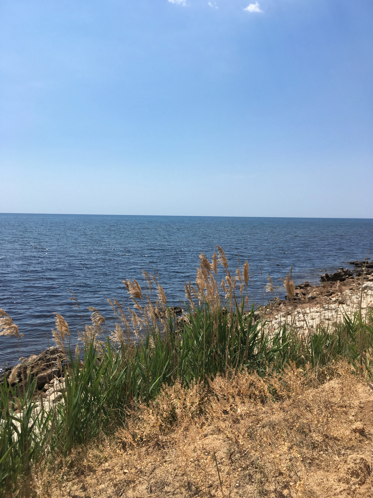 База Отдыха Эко Курорт Морское