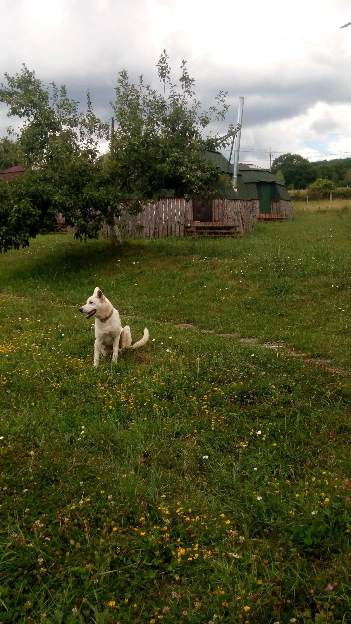 Отель Дикий Крым