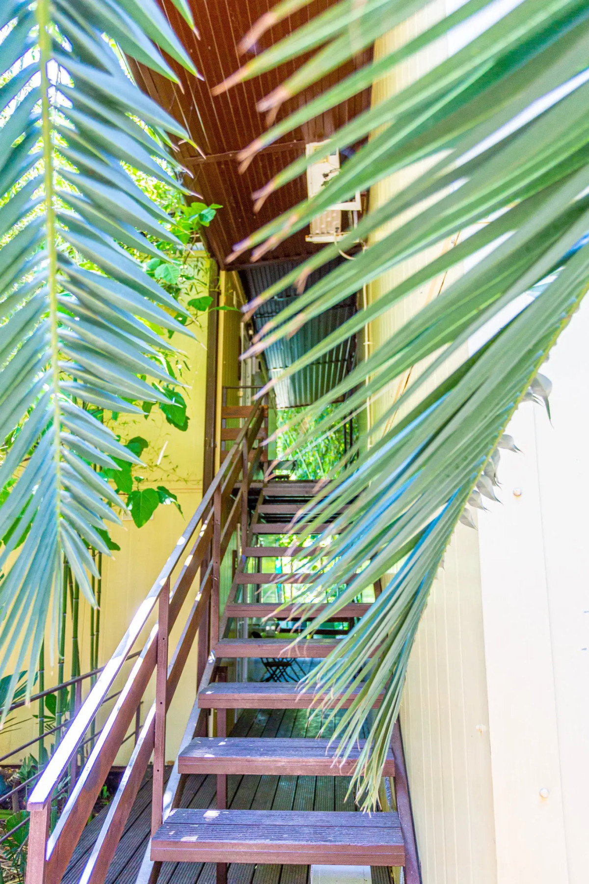 Гостевой Дом Бамбук-Хутор