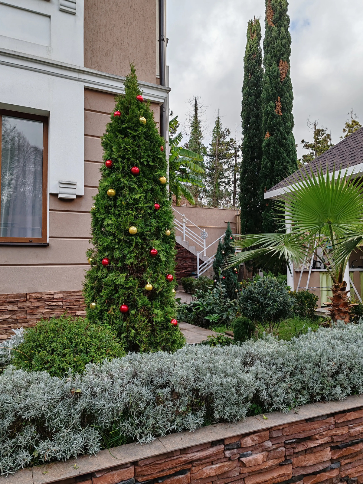 Гостевой дом Мимоза