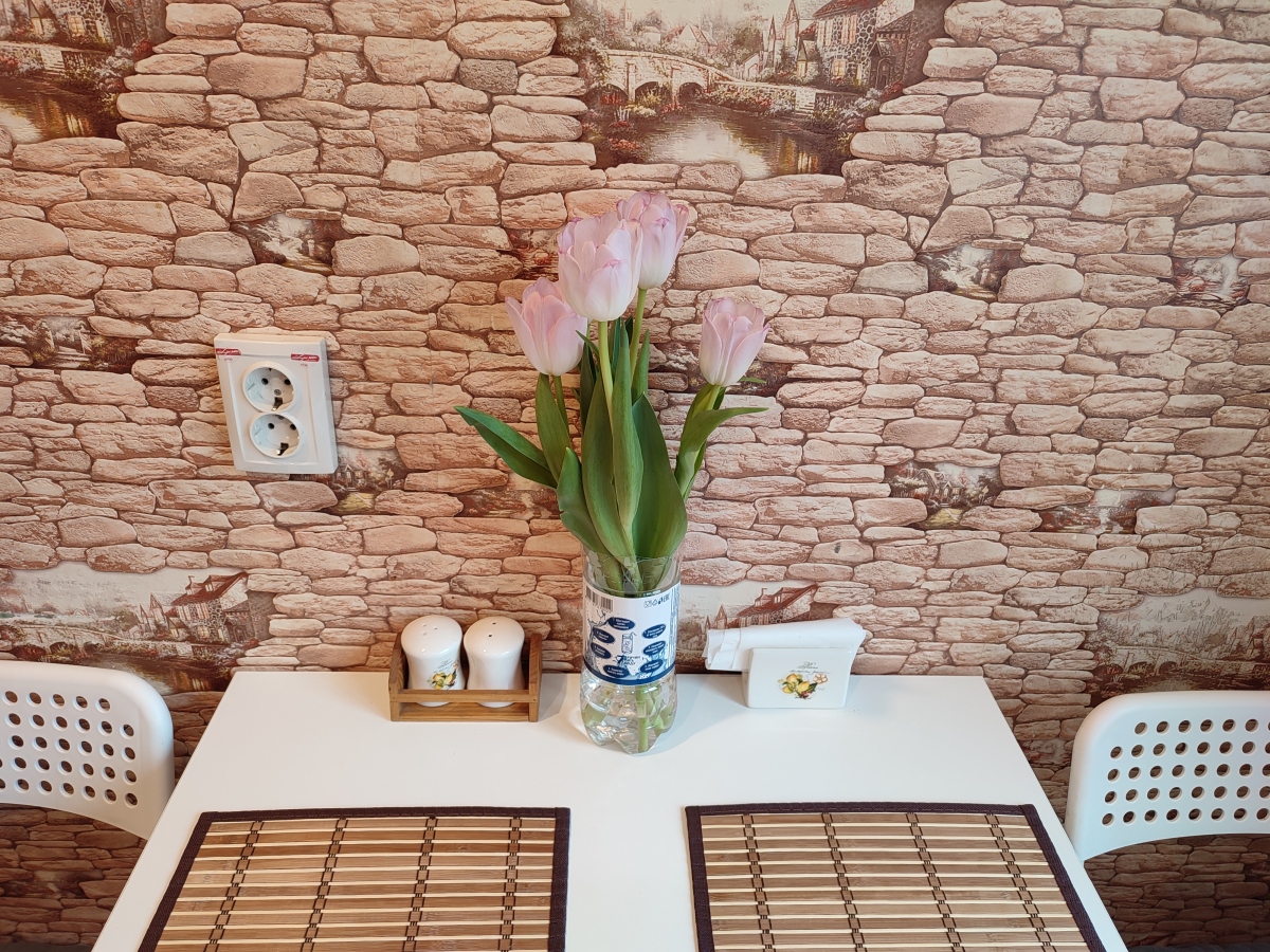 Апартаменты у Ледового Дворца