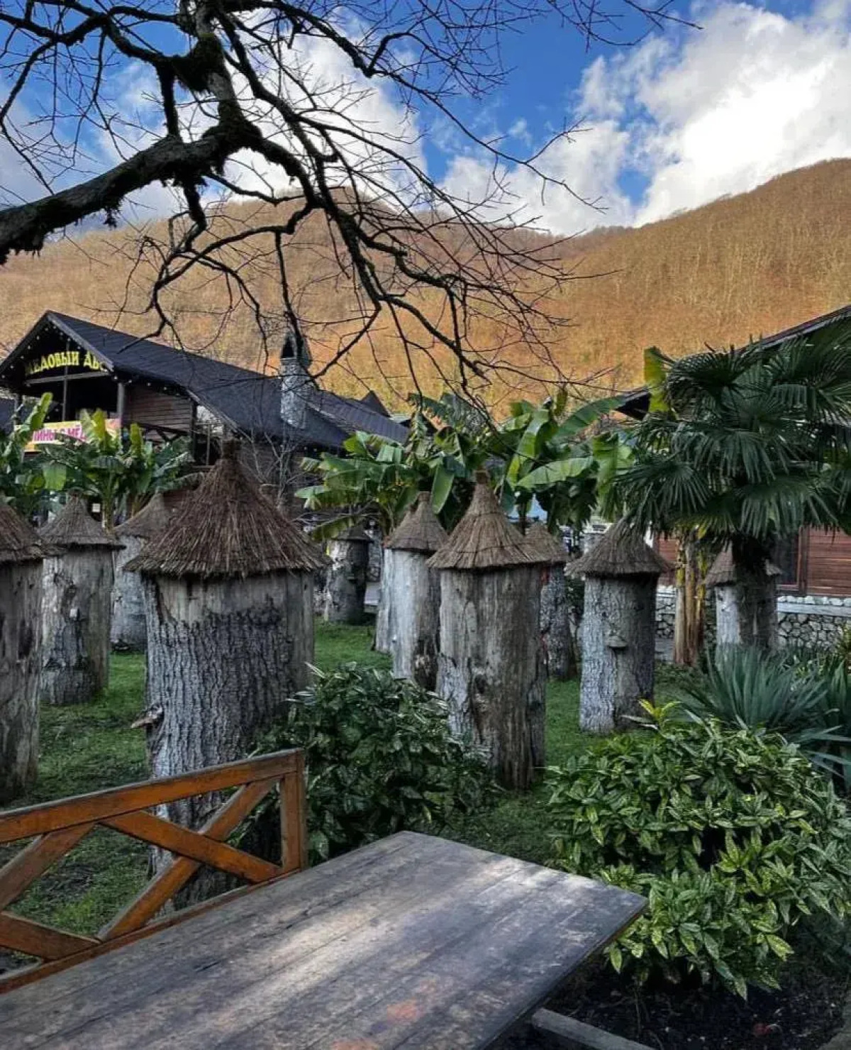 Отель Chalet Bridge Eko