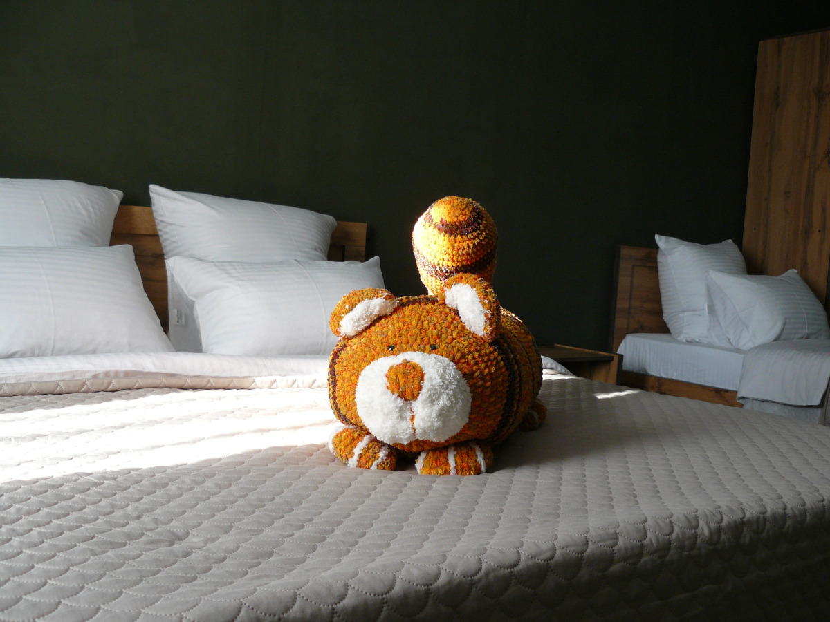 Апартаменты Рыжий Кот Дружный