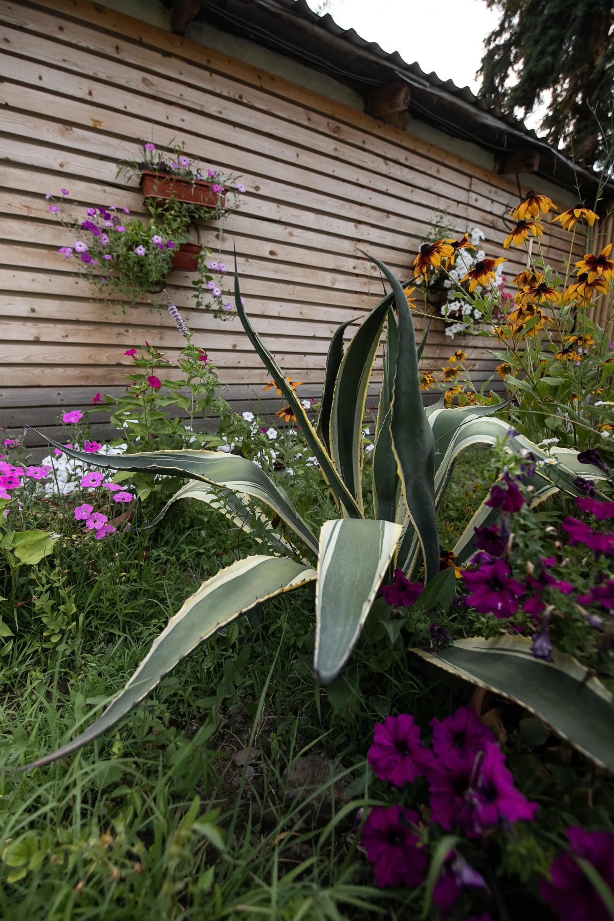 Отель At The Sea