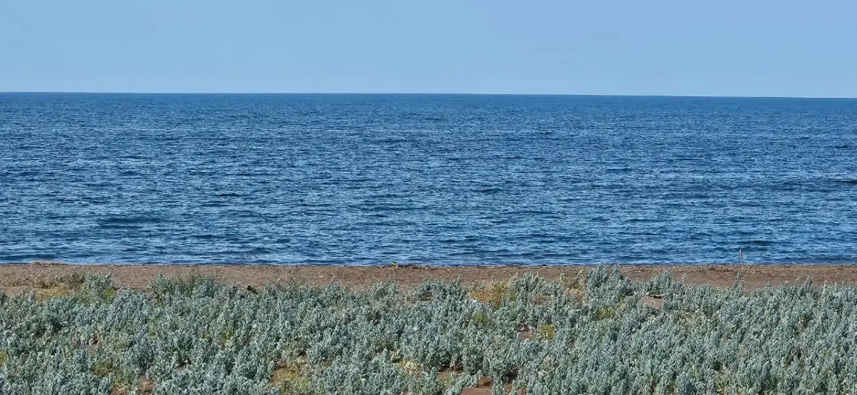 Бунгало Капсульный Отель на 4 человека у моря