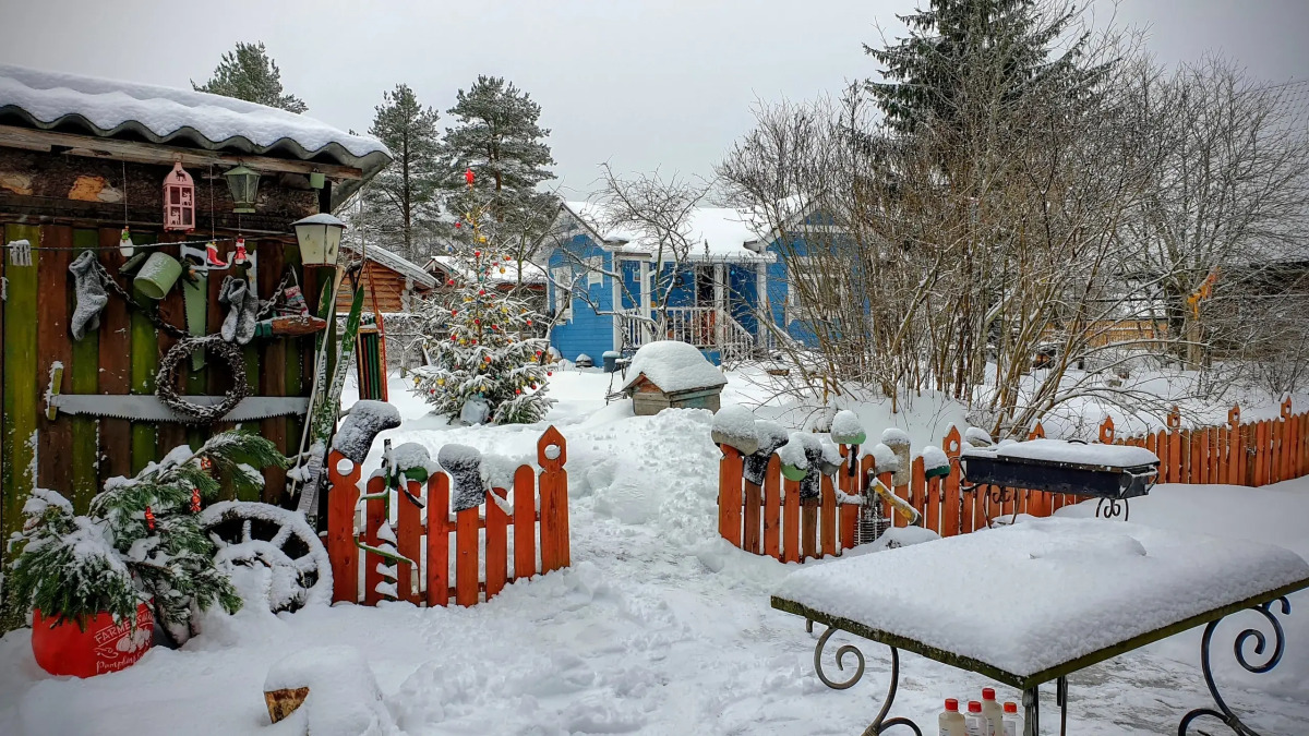 Гостевой дом Лосиный Тупичок