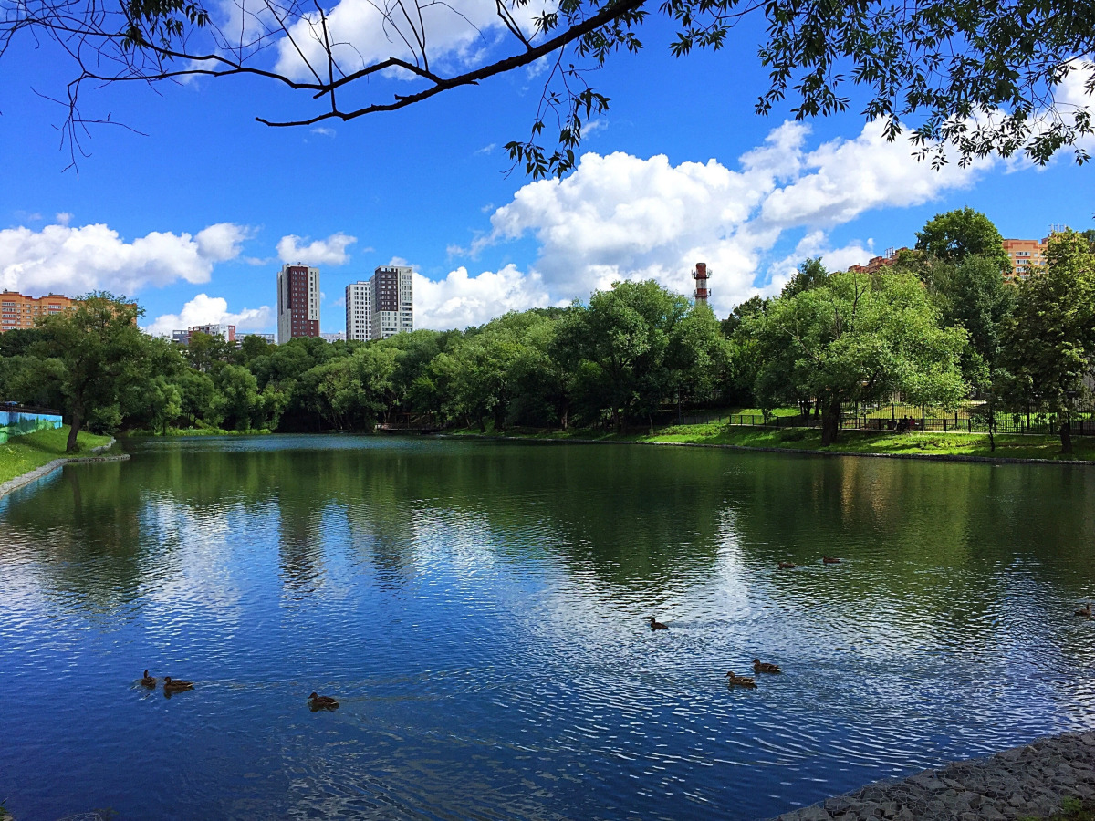 Двухкомнатные Апартаменты Люкс возле Липового Парка