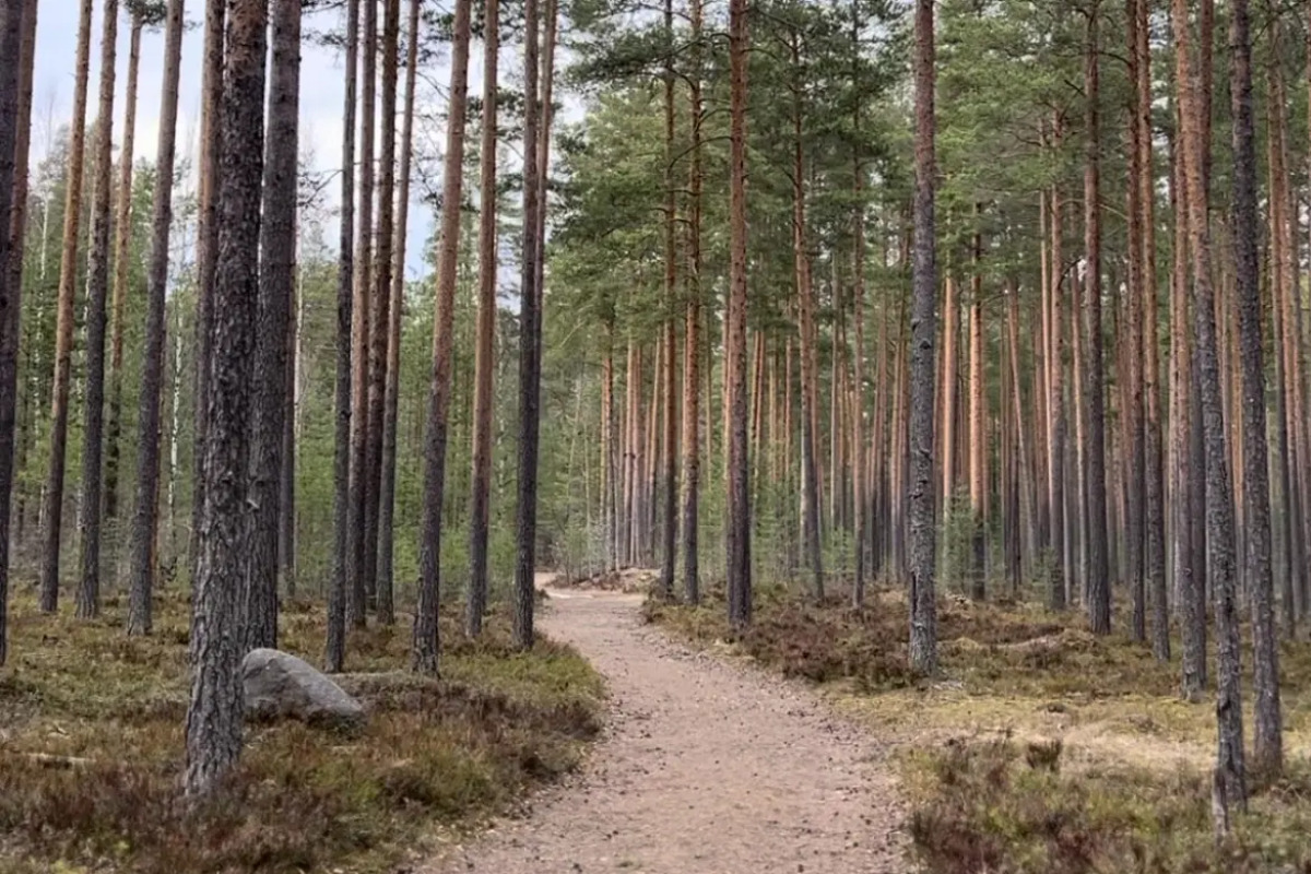 База Отдыха Аквамарин