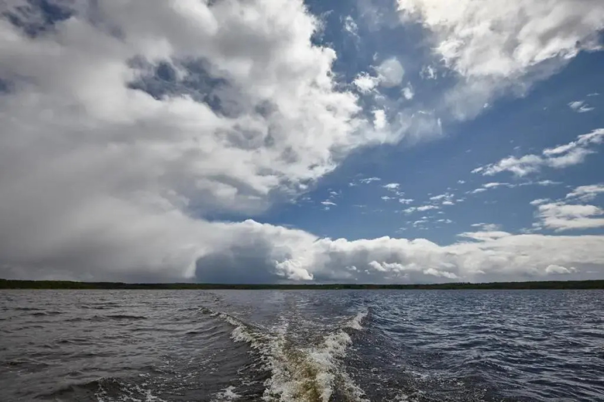 Отель Эко Любимка