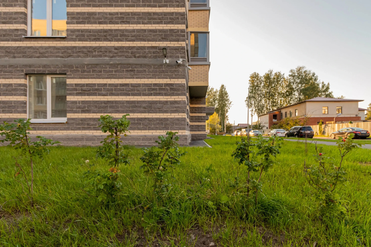 Апартаменты -студия в Песочном