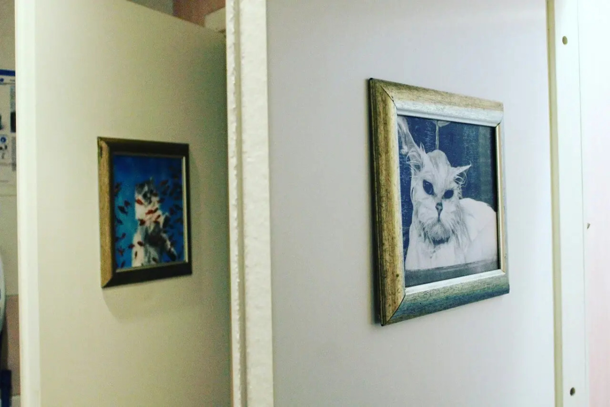 Хостел Кот Матроскинн на Орловском