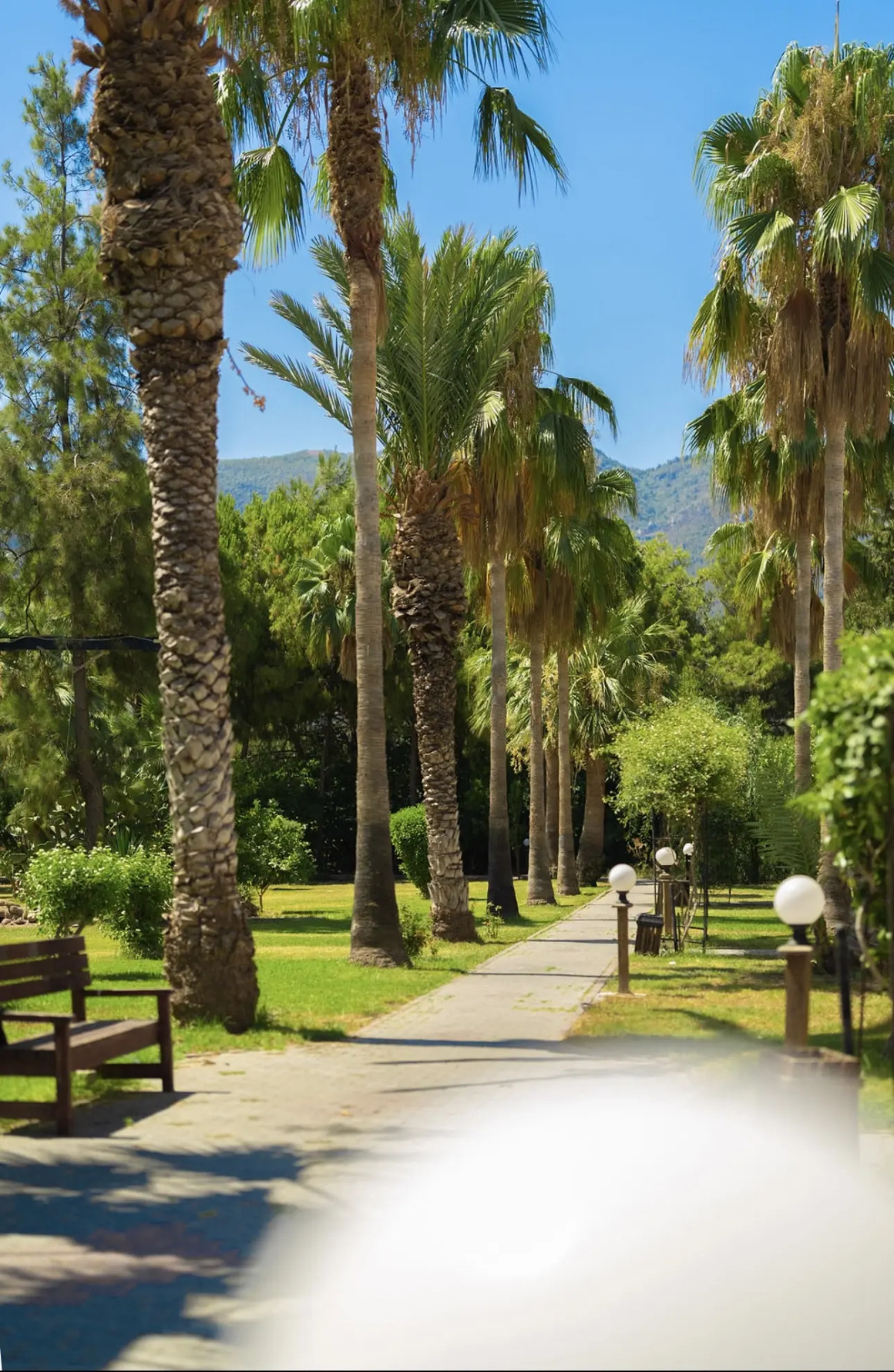 Отель Mountain View