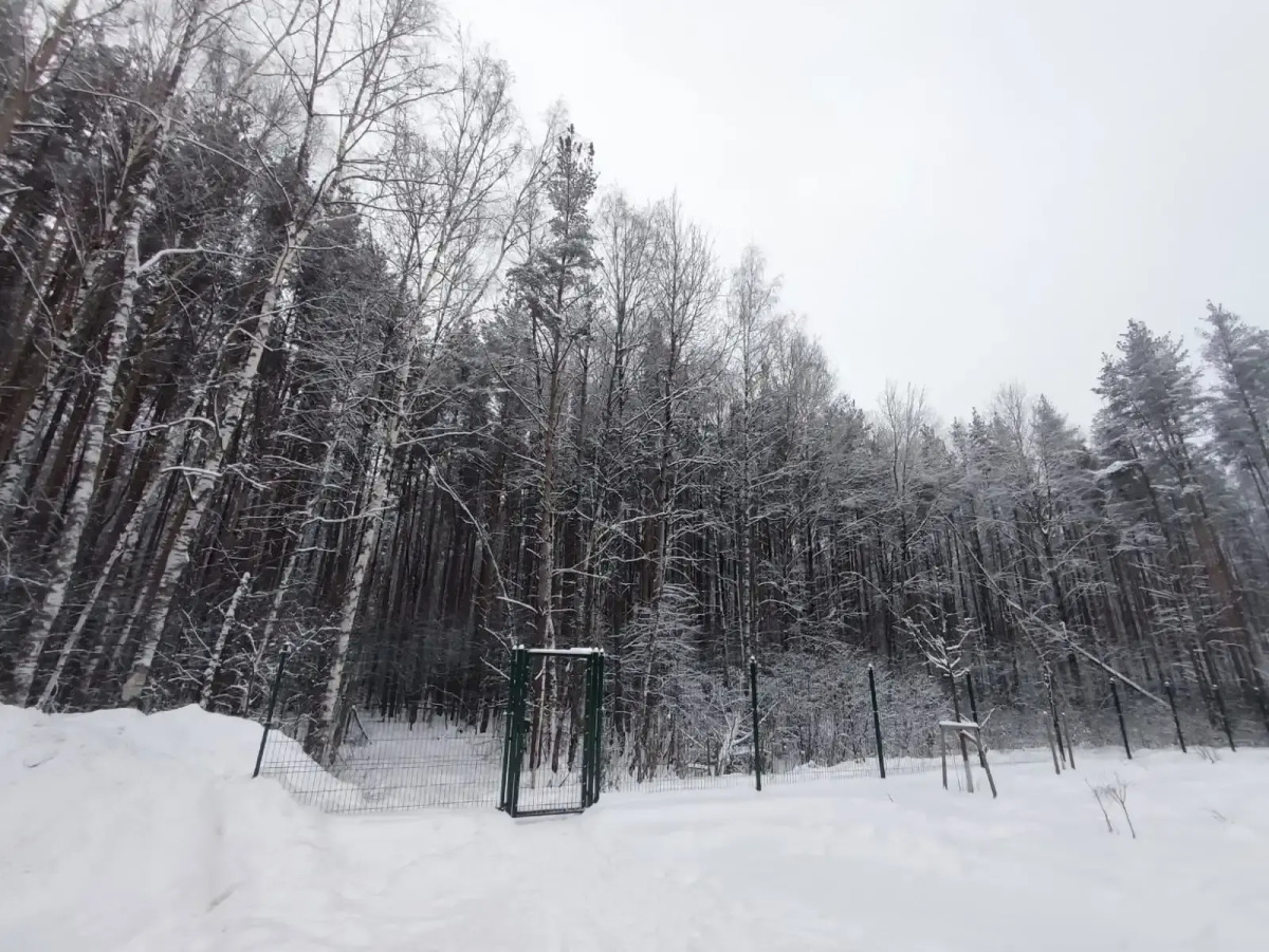 Квартира Лесная сказка