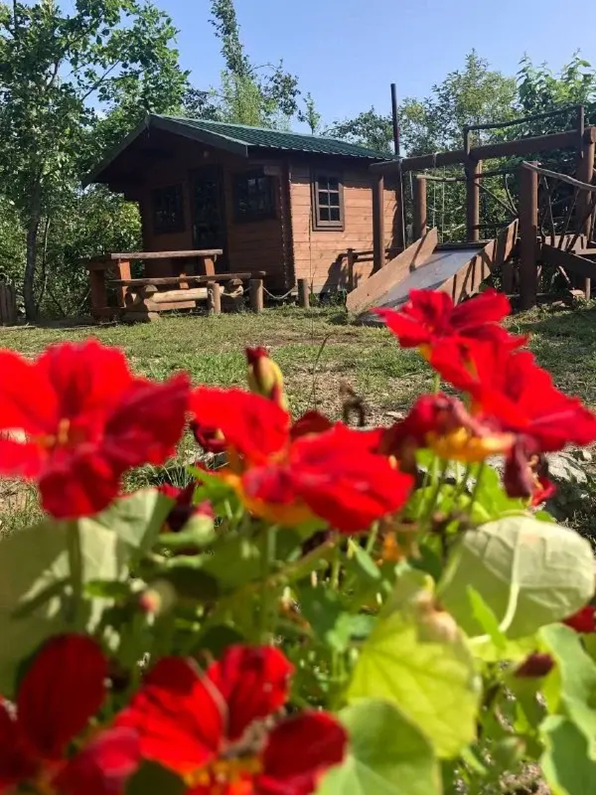 База отдыха парк отдыха Лесное озеро