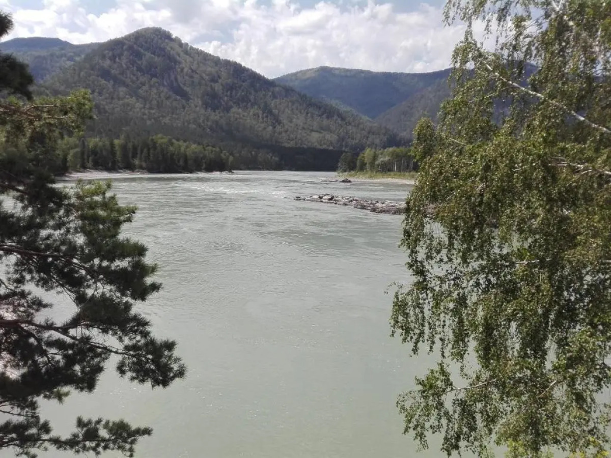 Гостевой дом Альбатрос