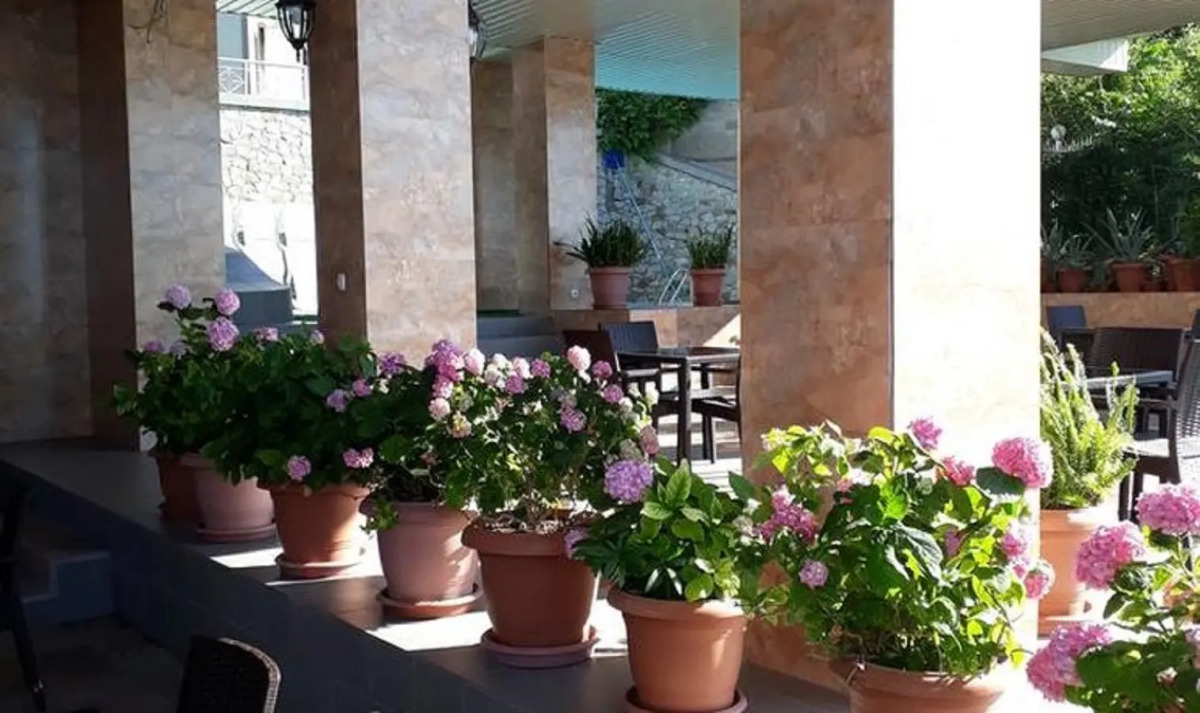 Гостевой дом Чайка