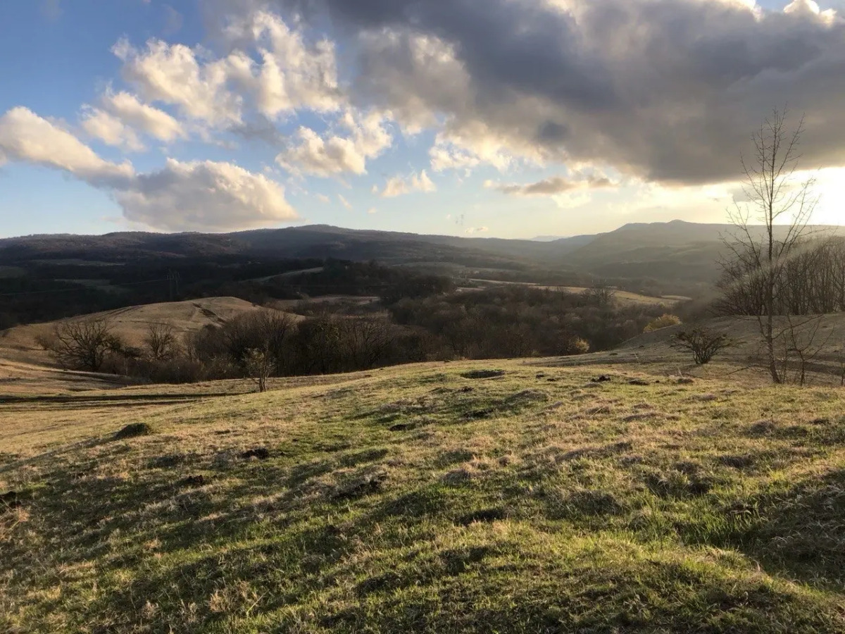 Частный дом Дизайнерский Барнхаус
