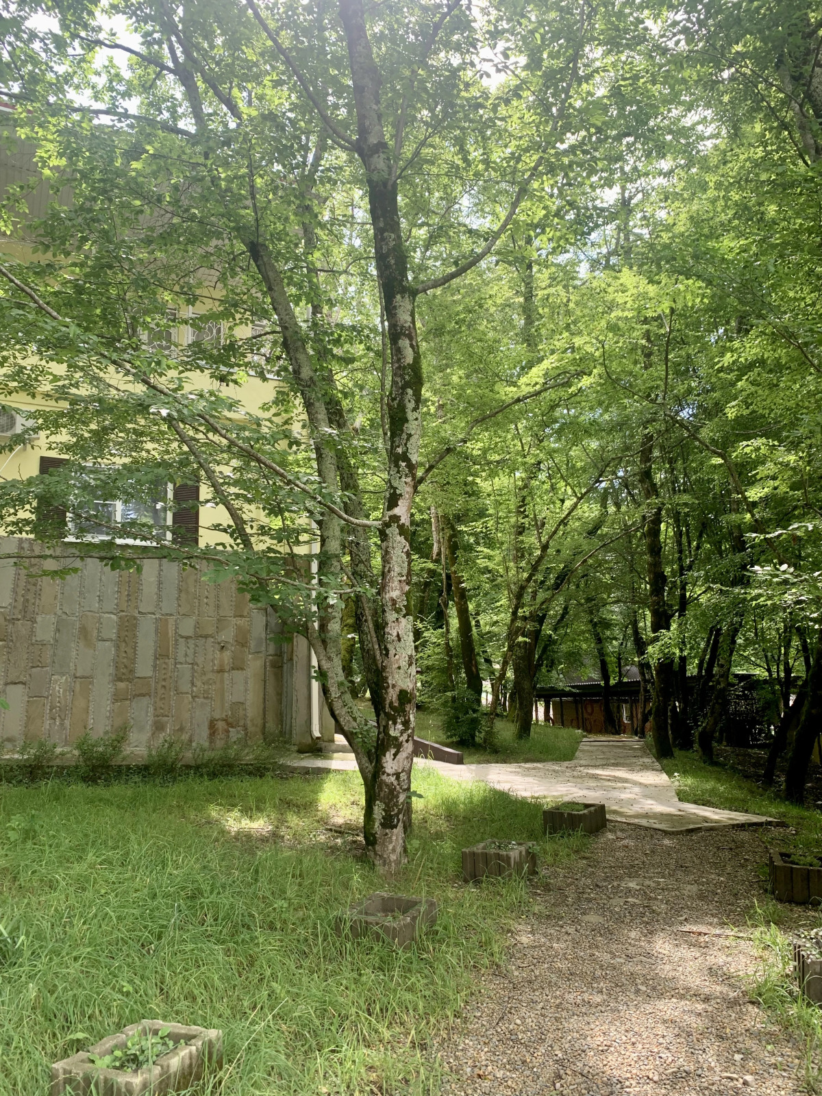 База отдыха Гостиничный комплекс Примула