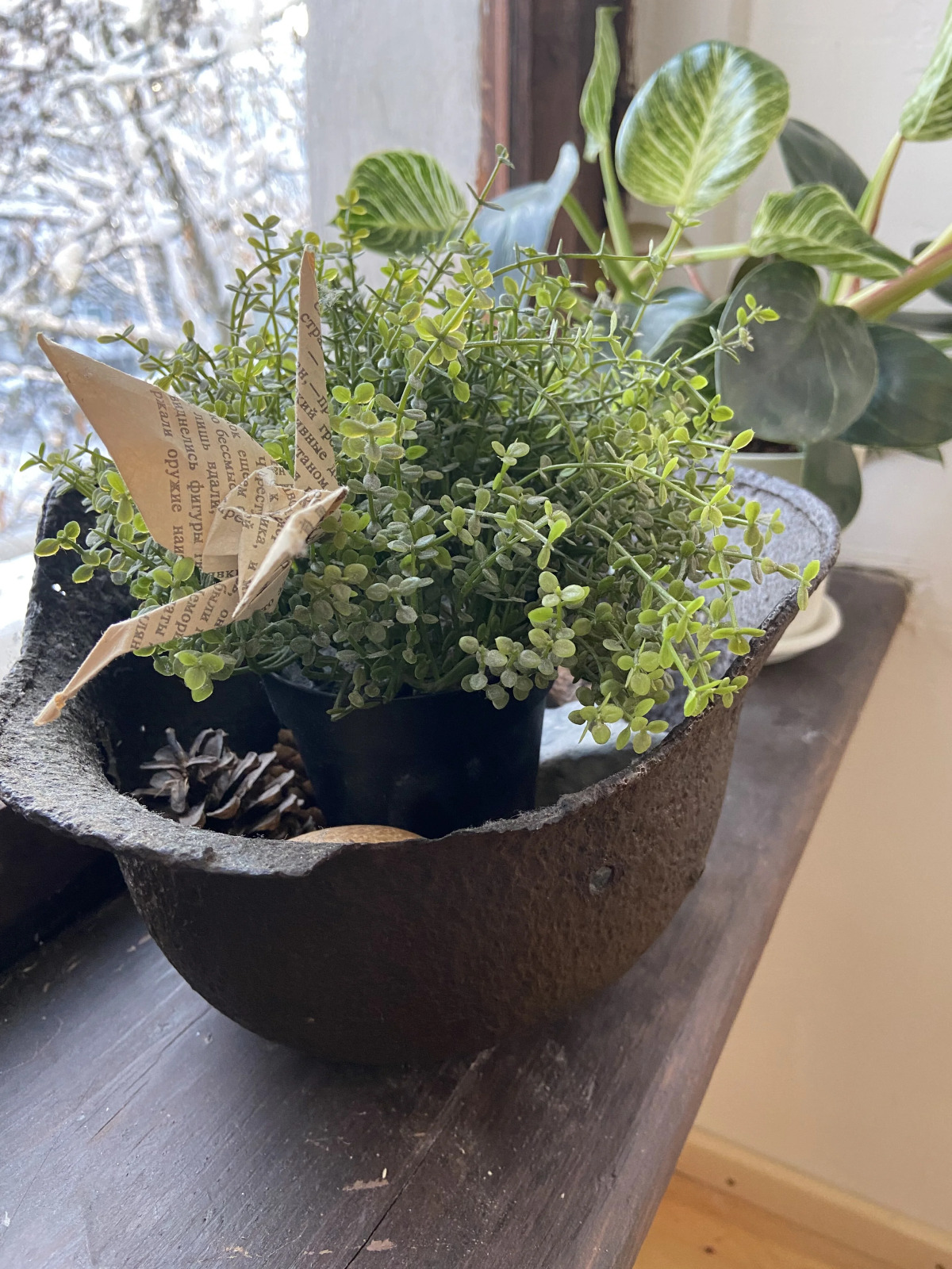 Апартаменты Оранжерея