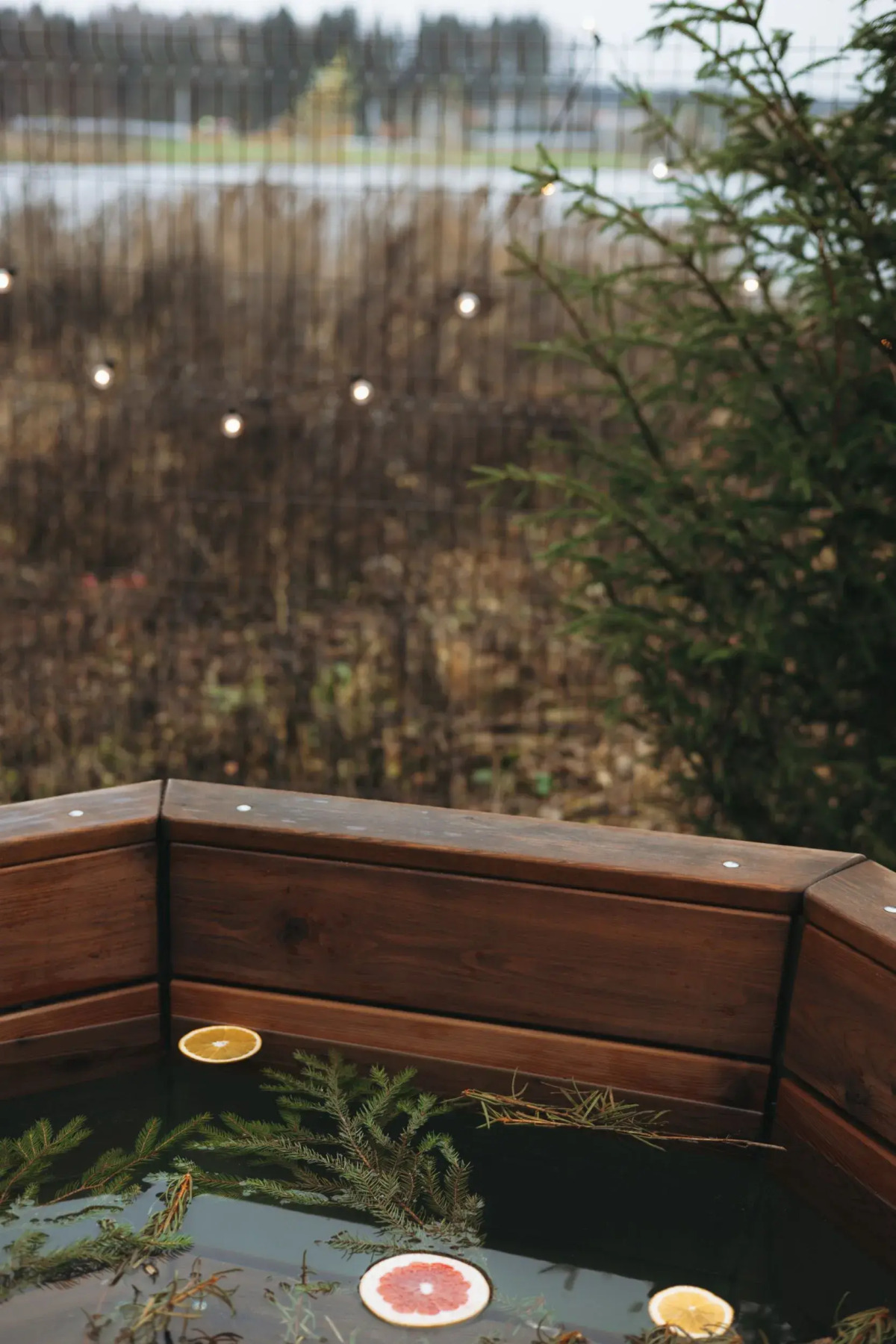 Частный дом с баней и чаном у воды и леса