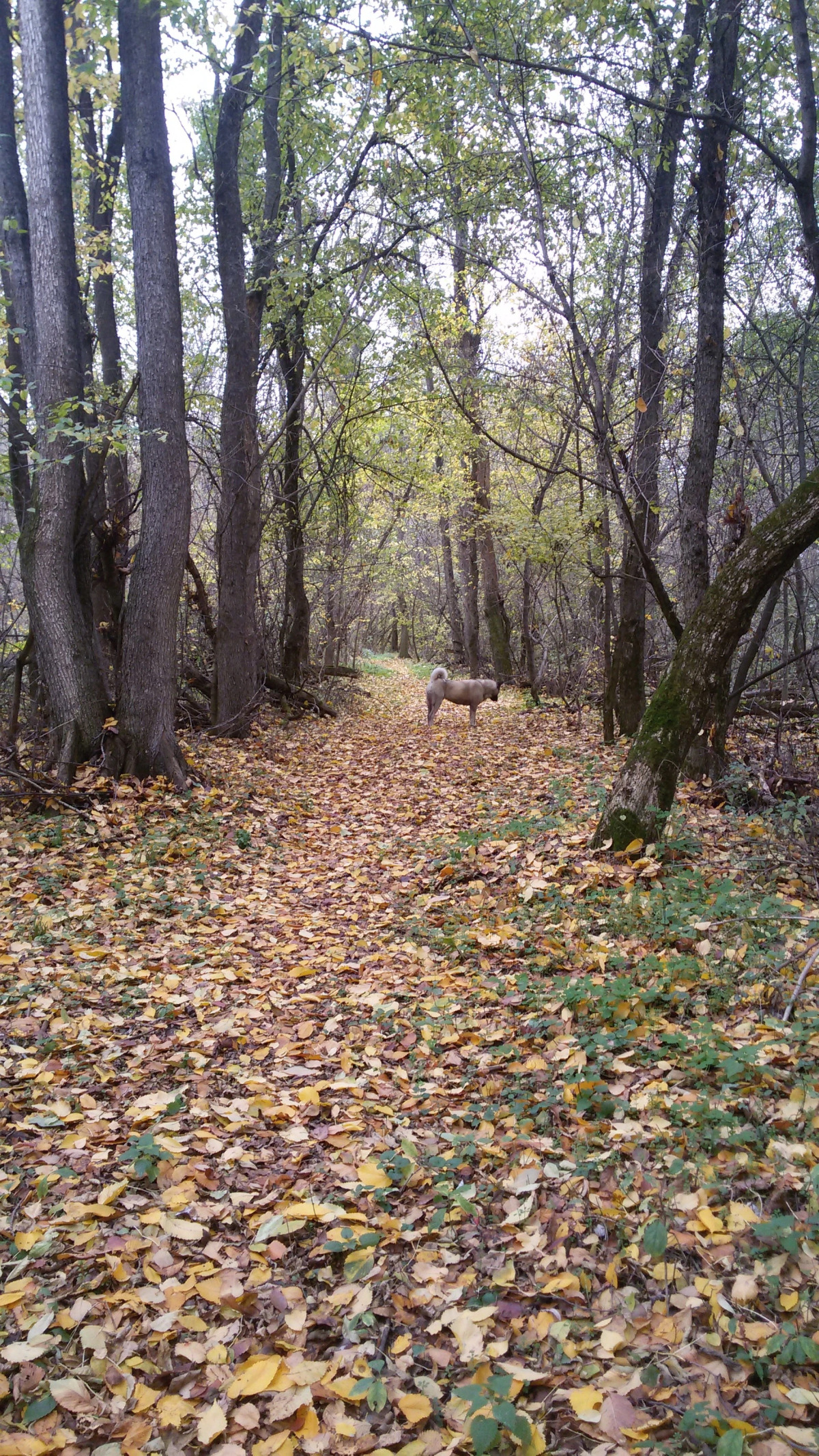 Гостевой дом на Есенина