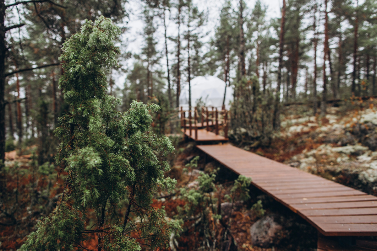 Глэмпинг Lago Ladoga