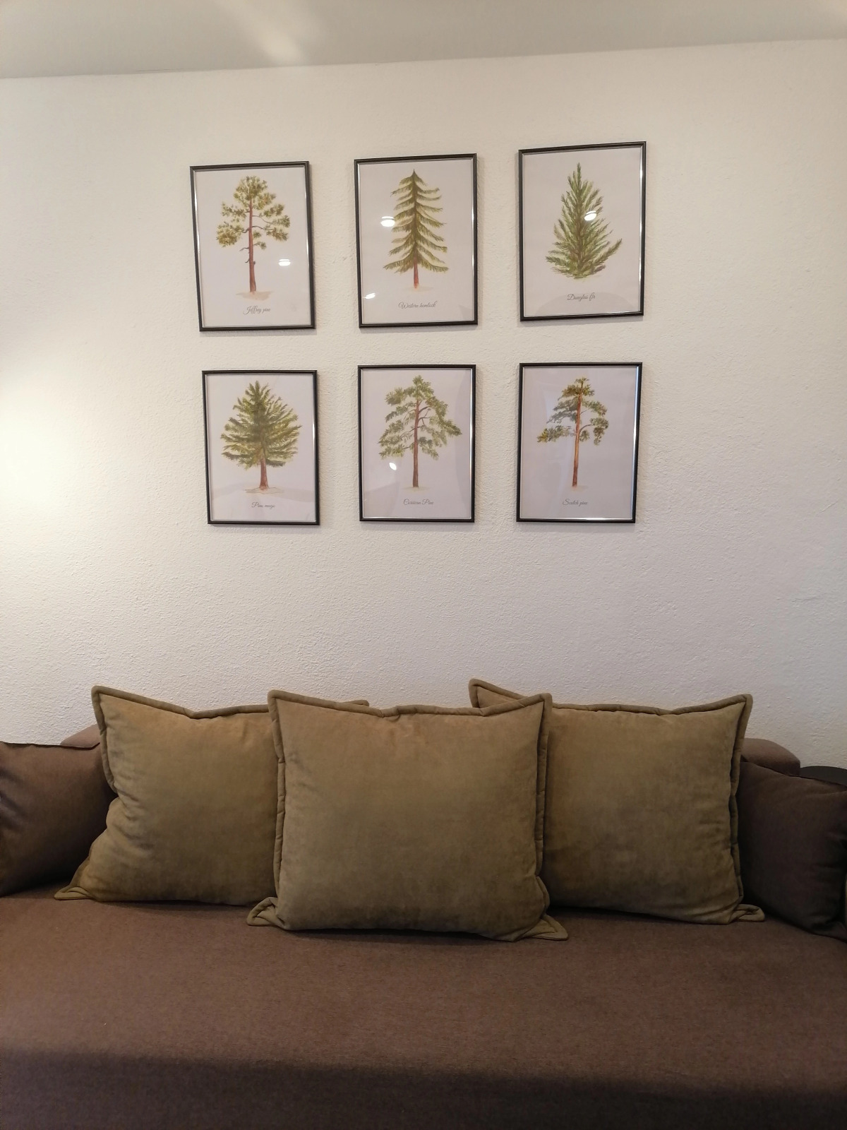 Апартаменты Солнечная