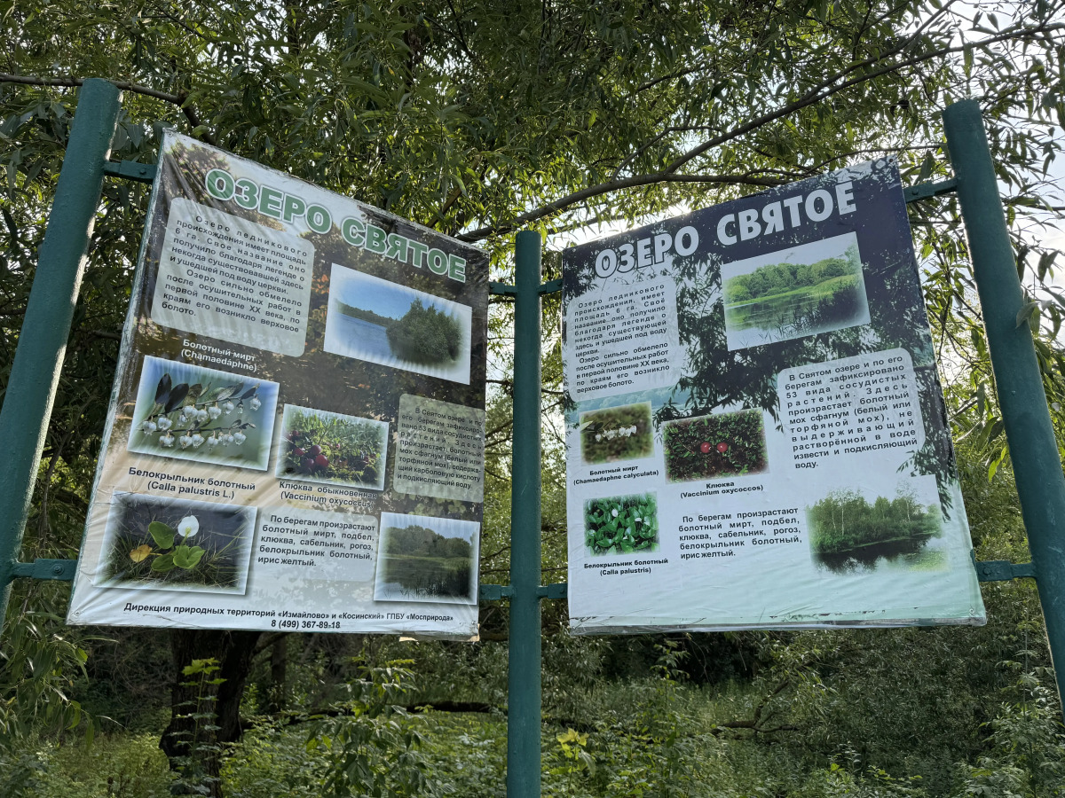 Квартира Svoy Lux