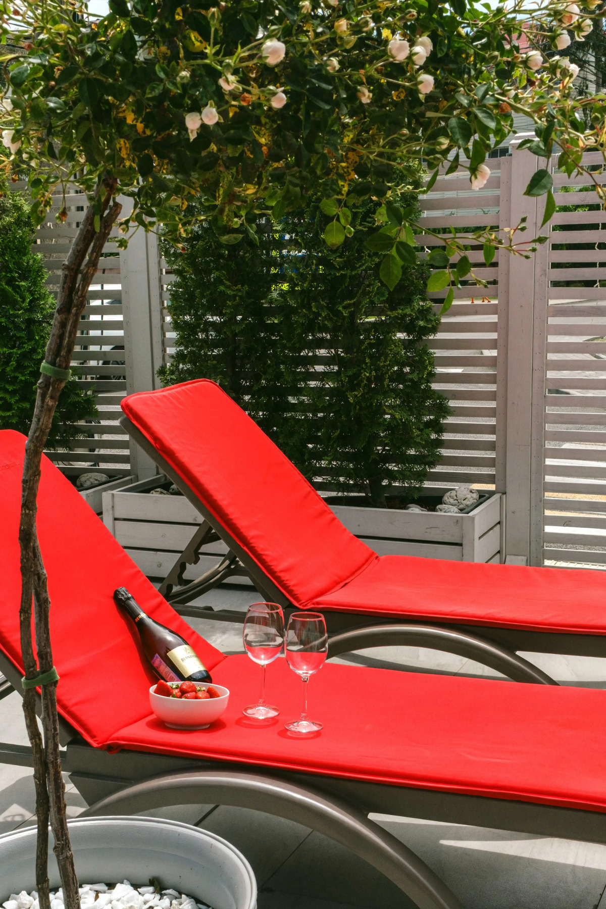 Апартаменты на Ружейной в Сириусе №5